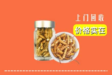 诚信求购:玉州区高价回收散虫草