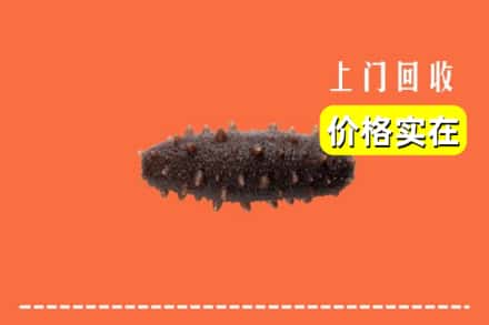 诚信求购:玉州区高价回收海参