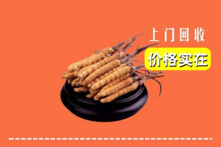诚信求购:玉州区高价回收冬虫夏草
