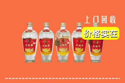 诚信求购:玉州区高价回收老五粮液